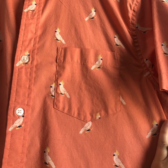 Mens, Sonoma, short-sleeved, button down shirt WITH PARROTS! - Picture 3 of 5